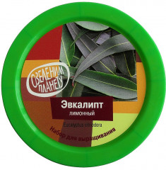 Набор для выращивания «Эвкалипт лимонный» - Фото 1