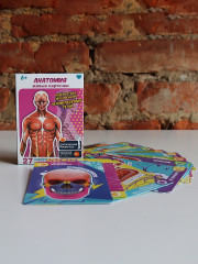 Набор карточек «Анатомия» в дополненной реальности - Фото 3