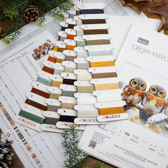 Набор для вышивания «Совы в зимней тишине»