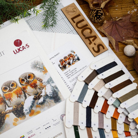 Набор для вышивания «Совы в зимней тишине»