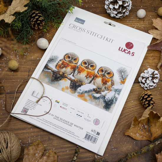 Набор для вышивания «Совы в зимней тишине»