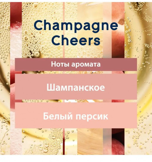 Автоматический освежитель воздуха со сменным баллоном «Champagne Cheers»