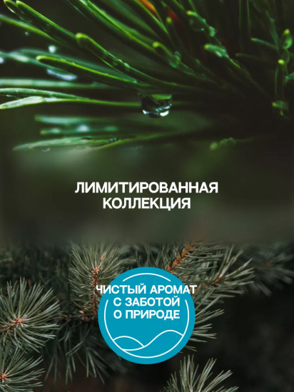 Автоматический освежитель воздуха со сменным баллоном «Pine Wonderland»