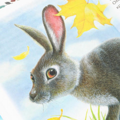 К. Д. Ушинский. Рассказы и сказки - Фото 5