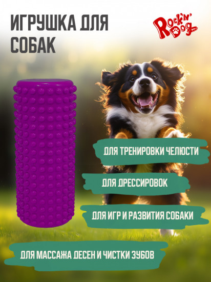 Игрушка для собак «Угарная прогулка»