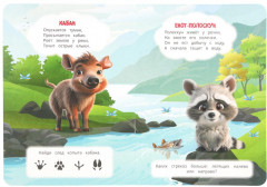 Лесные животные - Фото 3