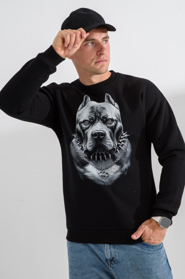 Свитшот мужской