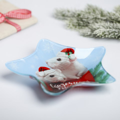 Тарелка «Сказочного Нового года» - Фото 1