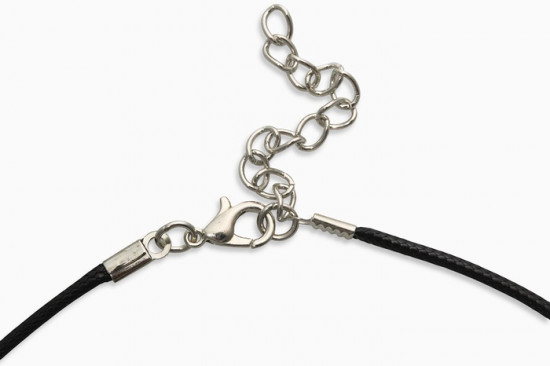 Кулон на шнурке «Клык льва»