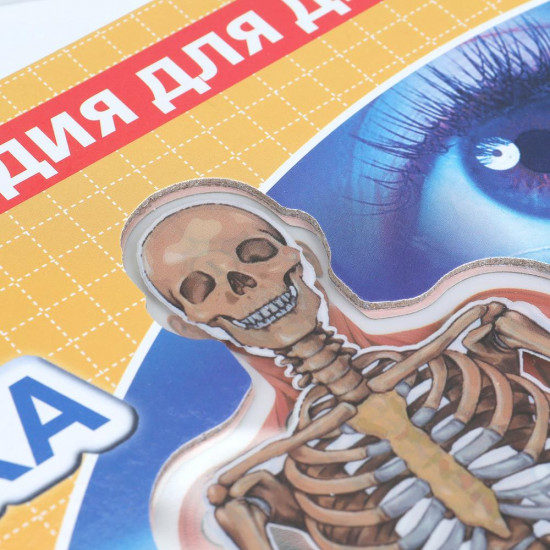 Тело человека