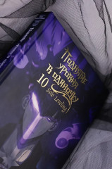 Поднятие уровня в одиночку. Том 10 - Фото 8