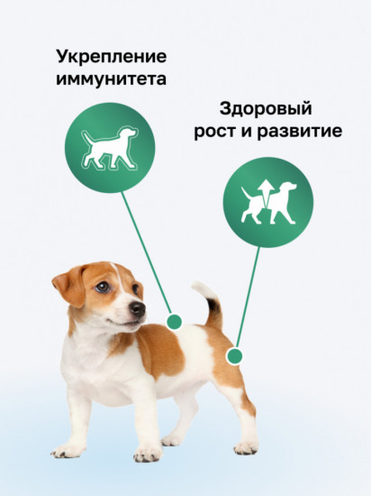 Сухой корм для щенков с ягнёнком, фруктами и овощами «Puppy Lamb»