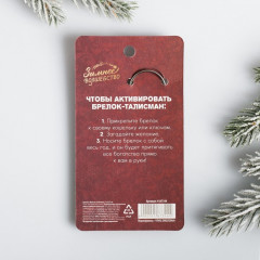 Брелок «Монета изобилия» - Фото 3