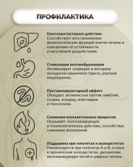 Бальзам «Гепато-апифит» - Фото 1