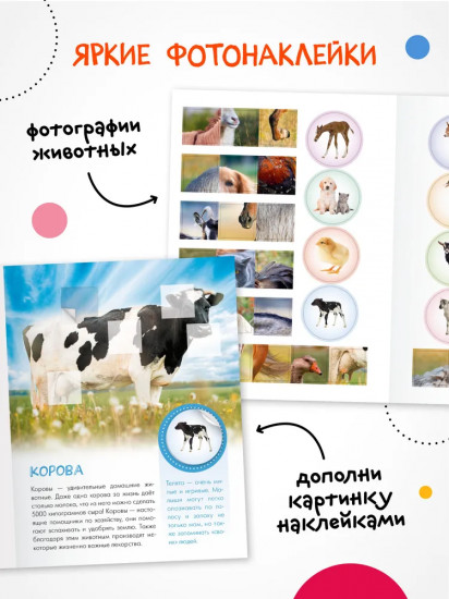 Кто живёт в деревне?