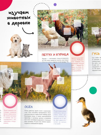 Кто живёт в деревне?