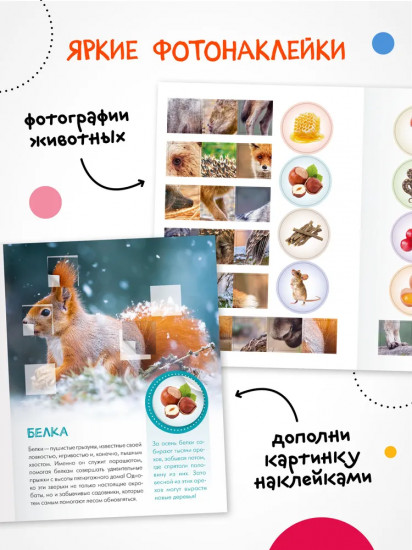 Кто живёт в лесу?