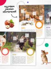 Кто живёт в лесу? - Фото 3