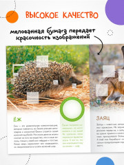 Кто живёт в лесу? - Фото 5