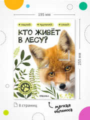 Кто живёт в лесу? - Фото 6