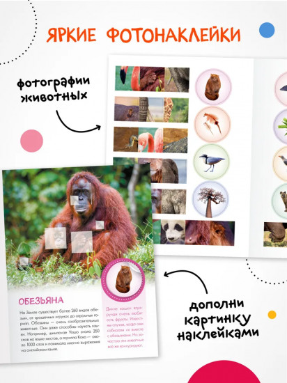 Кто живёт в зоопарке?