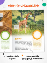 Кто живёт в зоопарке? - Фото 2