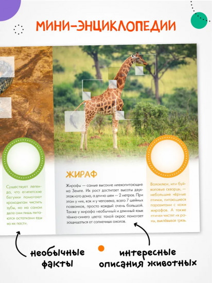 Кто живёт в зоопарке?