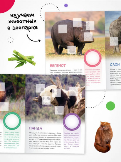 Кто живёт в зоопарке?