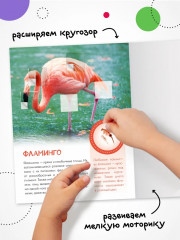 Кто живёт в зоопарке? - Фото 4