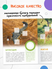 Кто живёт в зоопарке? - Фото 5