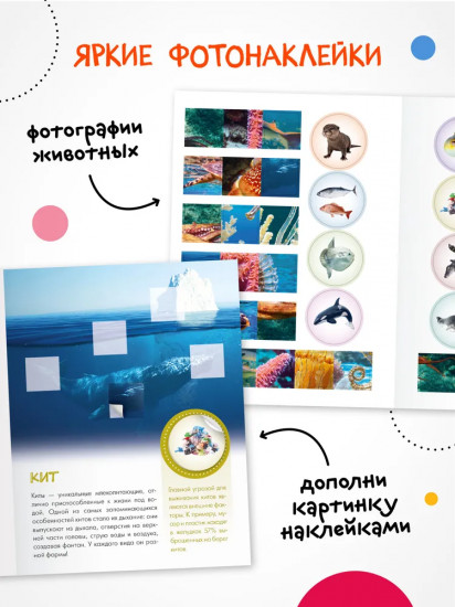 Кто живёт под водой?