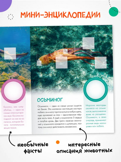 Кто живёт под водой?