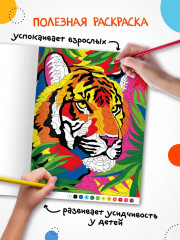 Раскрась по номерам. Коты и кошки - Фото 9