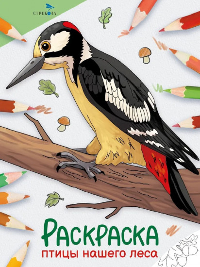 Раскраска «Птицы нашего леса»