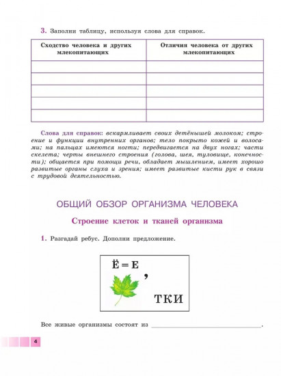 Биология. 9 класс. Человек