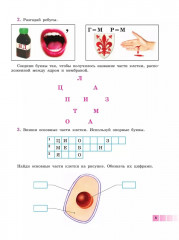 Биология. 9 класс. Человек. Рабочая тетрадь. Для обучающихся с интеллектуальными нарушениями - Фото 3