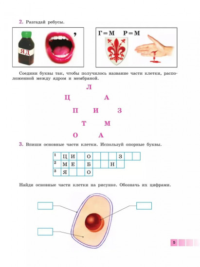 Биология. 9 класс. Человек