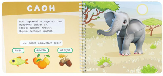 Книга «Дикие животные»