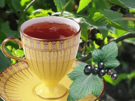 Чай со вкусом черной смородины