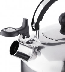 Чайник - Фото 1