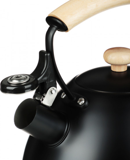 Чайник «Нера»