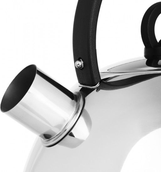 Чайник «Кампо»