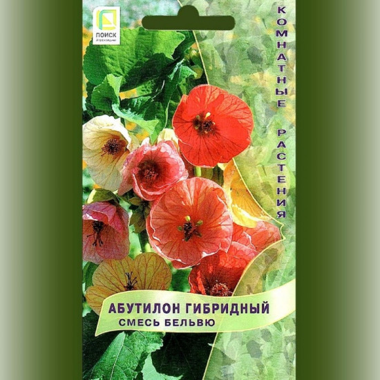 Абутилон гибридный «Бельвю»
