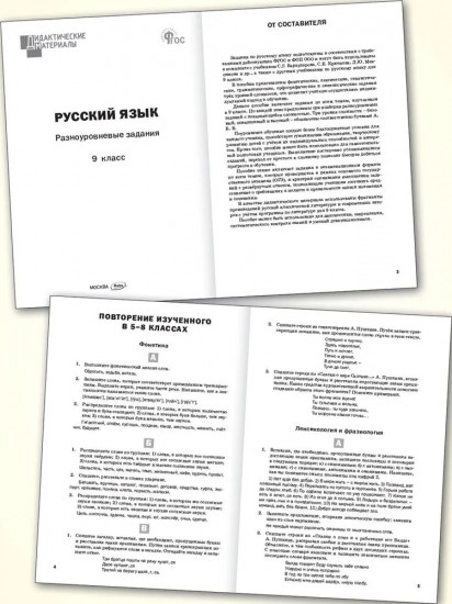 Русский язык. 9 класс. Дидактические материалы