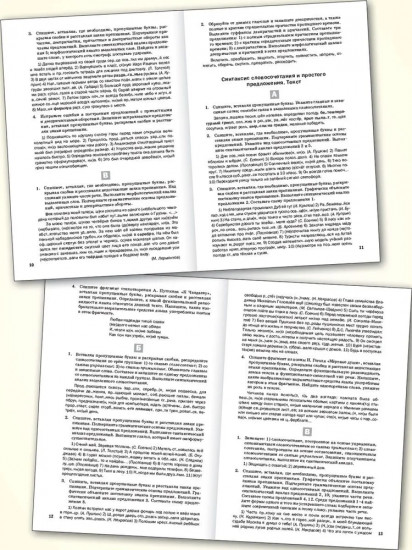 Русский язык. 9 класс. Дидактические материалы