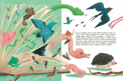 Мифы о животных - Фото 7