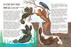 Мифы о животных - Фото 11