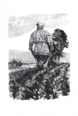 Русские богатыри - Фото 5