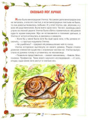 Туда и обратно. Зоологические сказки - Фото 1