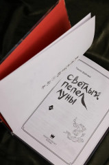 Светлый пепел луны. Книга 4 - Фото 6